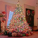 ���� �������, ���������, 65 ��� - ��������� 31 ������� 2016 � ������ ������ ��������