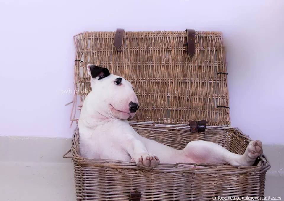 Субботка.Всем насыщенных выходных