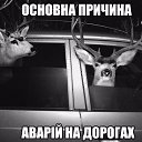 ���� �����, �������, 39 ��� - ��������� 23 ������ 2017 � ������ ���� ����������