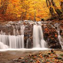���� Jasurbek, ������, 35 ��� - ��������� 29 ������� 2016