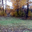 ���� Alserg, ����� - ��������� 7 ������� 2016 � ������ ������ ��������