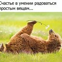 ���� �����, ����, 54 ���� - ��������� 18 ������� 2017