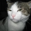 ���� �����, ���������, 42 ���� - ��������� 12 ������ 2017 � ������ ���� ����������