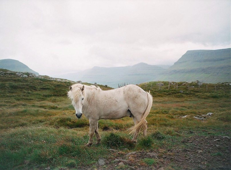 Faroe islands - 3