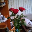 ���� ����, ����� - ��������� 16 ������� 2016 � ������ ���� ����������