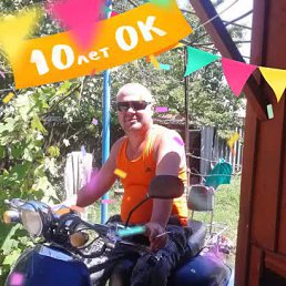 ���� ����������, ���������, 48 ��� - ��������� 28 �������� 2016