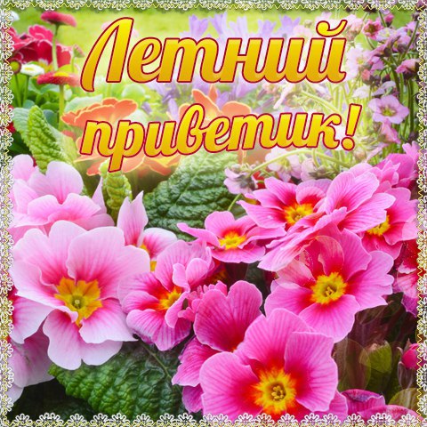 Хорошего должно быть очень Много. И это Много,Вам,друзья мои. Пускай ковром расстелется дорога. ...