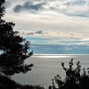  , , 60  -  26  2017   ,21.01.17. &quot;&quot;))