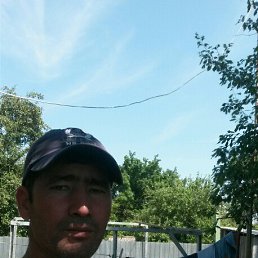 ���� �����, �������, 46 ��� - ��������� 4 ������ 2016