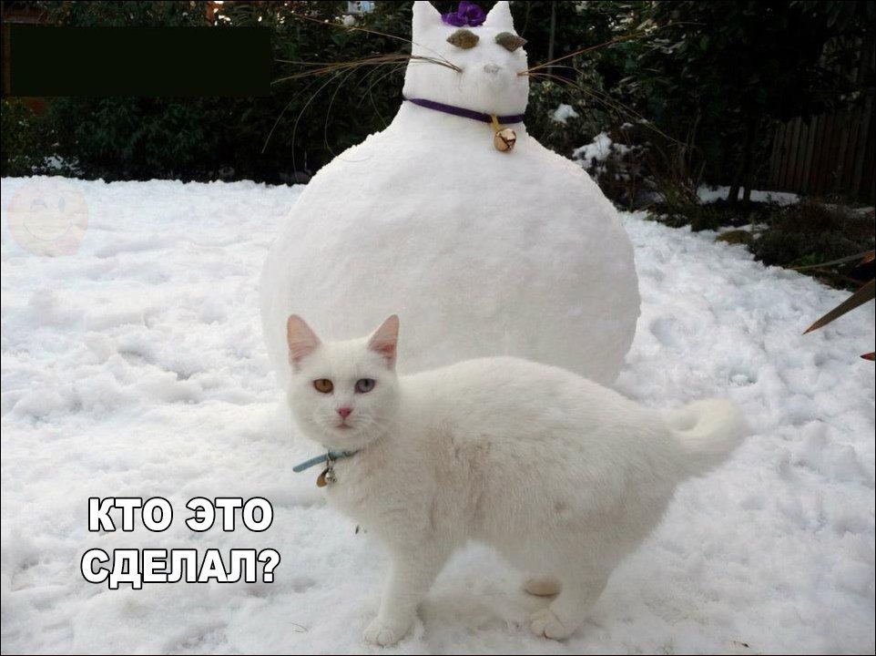    :D - 7  2017  21:40