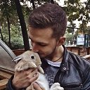 ���� ����, ������, 33 ���� - ��������� 25 ������� 2017 � ������ ���� ����������