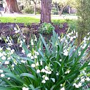 ���� Lana, ������, 54 ���� - ��������� 1 ������ 2017 � ������ �Timeline Photos�