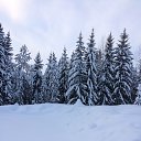 ���� ��������, �����, 74 ���� - ��������� 27 ������ 2017 � ������ ���� ����������