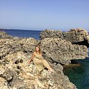 ���� ��������, ������, 54 ���� - ��������� 24 ������� 2016 � ������ ���� ����������