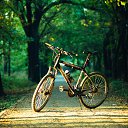 bike) �� ������� ������Ż
