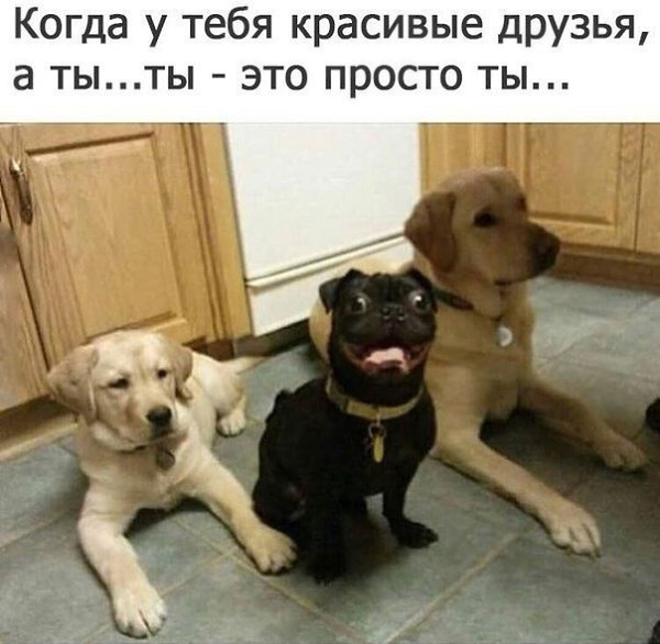  - 7  2017  14:37