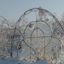 ���� ������, ������, 54 ���� - ��������� 15 ������ 2016 � ������ �������� ������