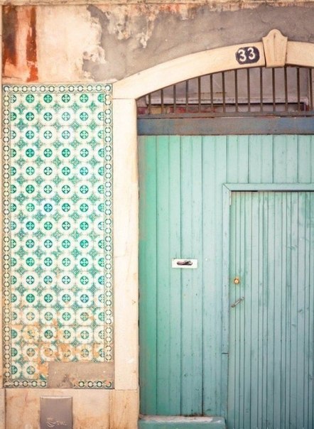 ��������, ���������� - 8