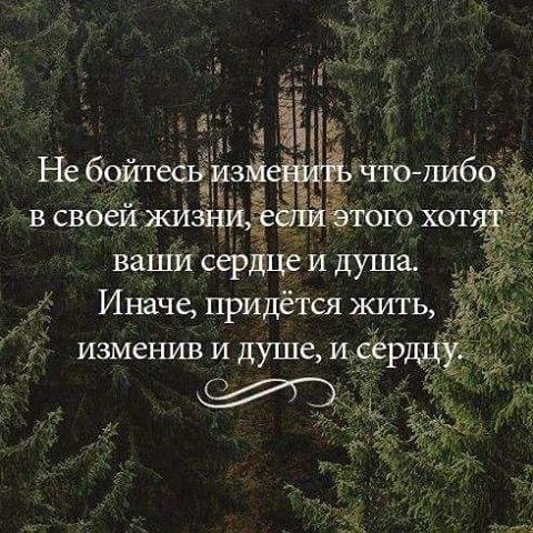 ������� ��� ���� - 4 ������� 2017 � 09:58