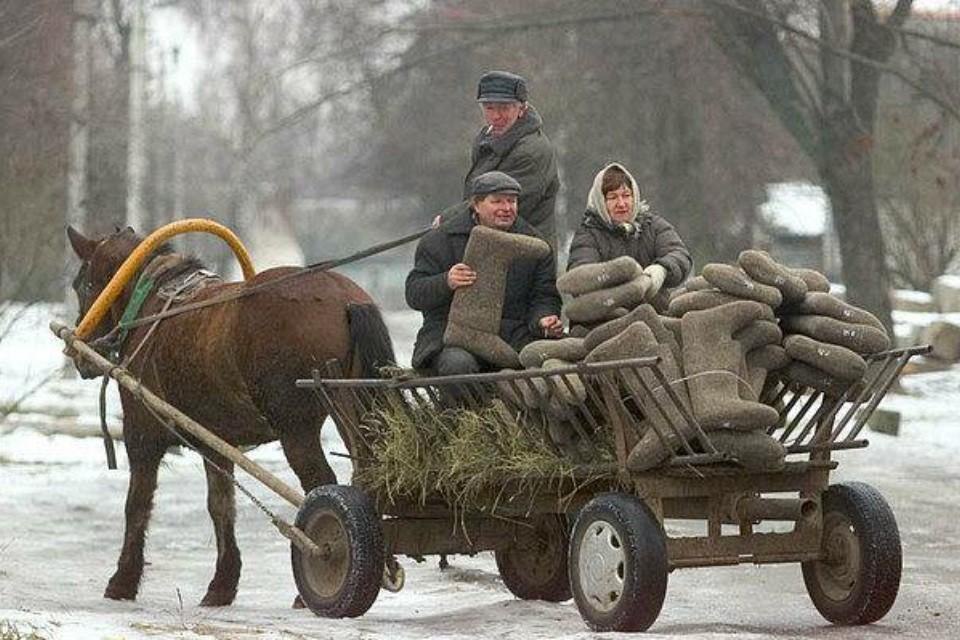 Картина где женщина едет в санях