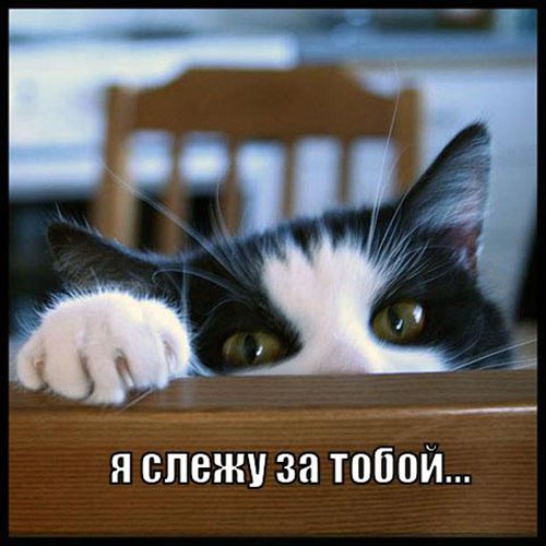 )))))
