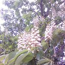 ���� ���, ������ ��������, 54 ���� - ��������� 14 ������� 2016 � ������ ���� ���� ������