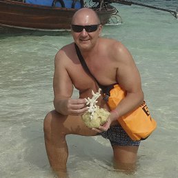 ��������, �����������