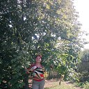 ���� �����, ���������, 52 ���� - ��������� 20 �������� 2016