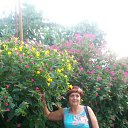 ���� ������, ����, 62 ���� - ��������� 24 ������� 2017