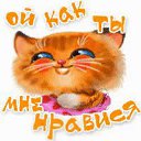 ���� ����, �����, 61 ��� - ��������� 6 ������� 2016 � ������ ���� ����������