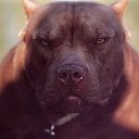 �����!!!! �� ������� ���� ����������