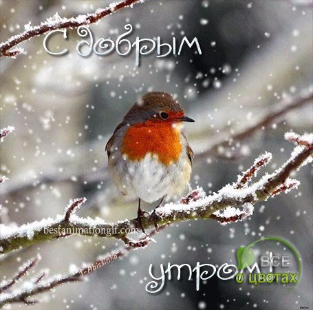 ��� � ������ - 14 ������� 2016 � 22:14