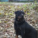 ���� ����, �������, 66 ��� - ��������� 30 ������� 2016 � ������ ���� ����������