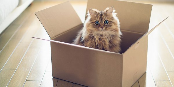 Эта статья для тех, кто из всего многообразия торговых площадок Поднебесной знает только AliExpress. ...