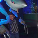 ���� Aleksandr, ��������� - ��������� 31 ������ 2017 � ������ ���������� 04.01.2017�.�