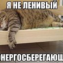 ���� ������, �����, 39 ��� - ��������� 28 ����� 2017 � ������ ������ ��������