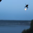 ���� ���������, ����� - ��������� 17 ������ 2016 � ������ ���� ����������