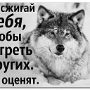 ���� ���������, ������� - ��������� 17 ������� 2016 � ������ ������ ��������