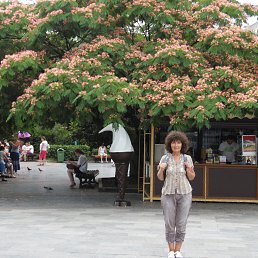 ���� �����, �������� - ��������� 15 ������ 2016