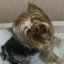 ���� �������, ������ - ��������� 16 ������� 2016 � ������ ���� ����������