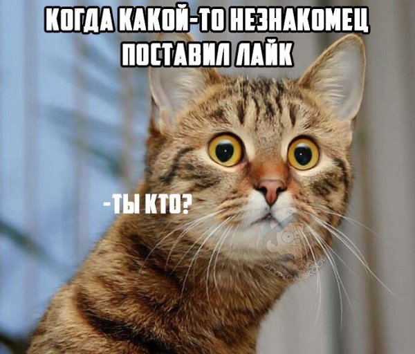    :D - 13  2017  04:04