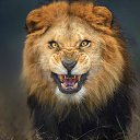 ���� ������, ������-��-����, 56 ��� - ��������� 11 ������ 2017 � ������ ���� ����������