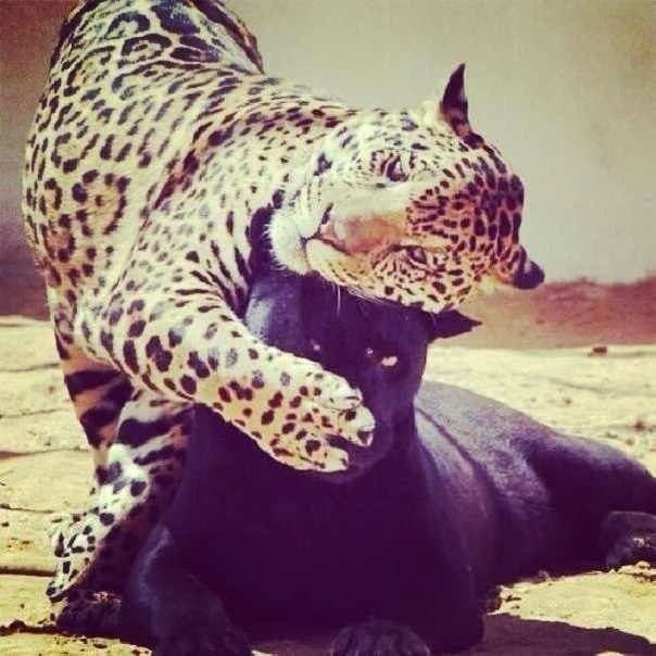 ����� �������� - 29 �������� 2016 � 00:52