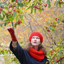 ���� �������� ����������, ������������, 57 ��� - ��������� 3 ����� 2017 � ������ ���� ����������