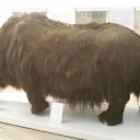 ���� �������, ��������� - ��������� 16 ������ 2016 � ������ ���� ����������