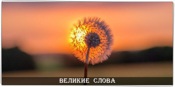 Стремитесь делать добро, и вы поймёте, что счастье будет бегать за вами.