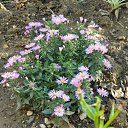  , , 73  -  25  2016     2016