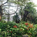 ���� ������, ������� �������� - ��������� 5 ������ 2016 � ������ ����'16�