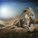���� ������, ���������, 62 ���� - ��������� 19 ������ 2016 � ������ ���� ����������