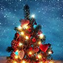 ���� Liudmila, �������, 70 ��� - ��������� 30 ������� 2016 � ������ ������ ��������